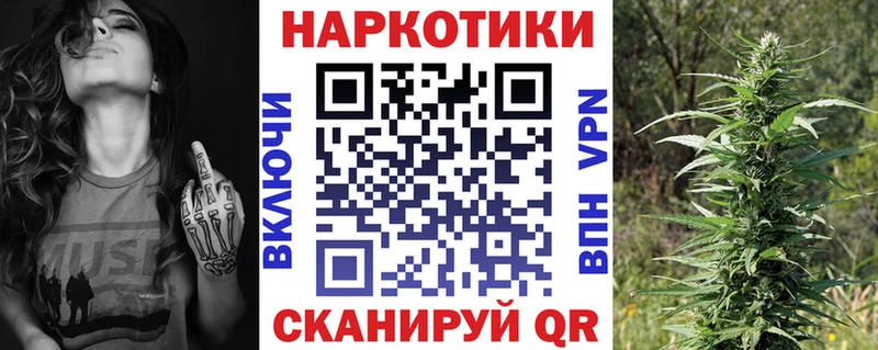 Магазины продажи наркотиков Новоаннинский ГАШ  АМФЕТАМИН  Меф мяу мяу  Псилоцибиновые грибы  Конопля 