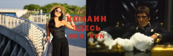 шишки Аркадак
