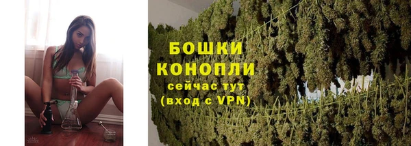 шишки Аркадак