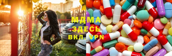 шишки Аркадак