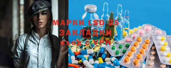 шишки Аркадак
