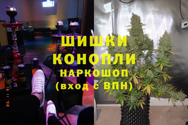 шишки Аркадак